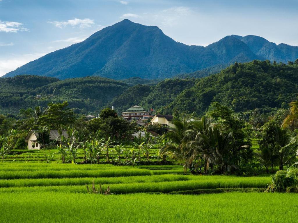D'Anaya Hotel Bogor Bagian luar foto