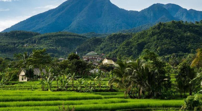 D'Anaya Hotel Bogor Bagian luar foto